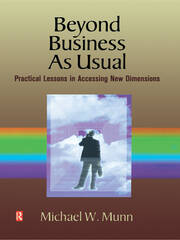 Beyond Business as Usual book cover