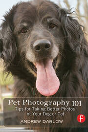 Pet Photography 101: Tips for taking better photos of your dog or cat book cover
