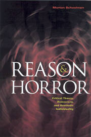 Reason and Horror: Critical Theory, Democracy and Aesthetic Individuality book cover