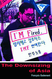 The Downsizing of Asia book cover