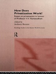 How Does Privatization Work? book cover