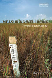 Measuring Wellbeing: Towards Sustainability? book cover