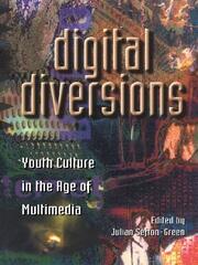 Digital Diversions: Youth Culture in the Age of Multimedia book cover