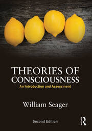 Theories of Consciousness: An Introduction and Assessment book cover
