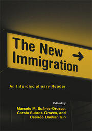 The New Immigration: An Interdisciplinary Reader book cover