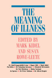 The Meaning of Illness book cover