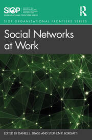 Social Networks at Work book cover