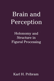 Brain and Perception: Holonomy and Structure in Figural Processing book cover