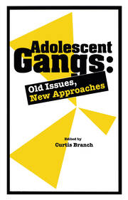 Adolescent Gangs: Old Issues, New Approaches book cover