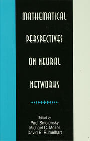 Mathematical Perspectives on Neural Networks book cover