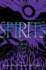 Spirits in Culture, History and Mind book cover