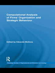 Computational Analysis of Firms’ Organization and Strategic Behaviour book cover