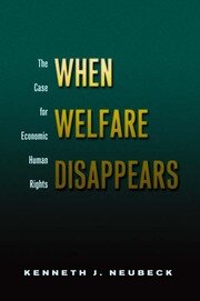 When Welfare Disappears: The Case for Economic Human Rights book cover