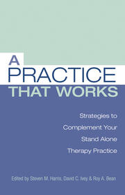 A Practice that Works: Strategies to Complement Your Stand Alone Therapy Practice book cover