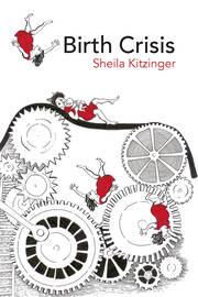 Birth Crisis book cover