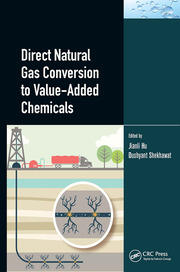 Direct Natural Gas Conversion to Value-Added Chemicals book cover