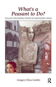 What's A Peasant To Do? Village Becoming Town In Southern China book cover