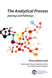 The Analytical Process: Journeys and Pathways book cover