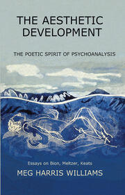 The Aesthetic Development: The Poetic Spirit of Psychoanalysis: Essays on Bion, Meltzer, Keats book cover