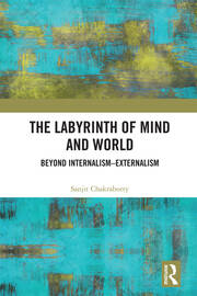 The Labyrinth of Mind and World: Beyond Internalism–Externalism book cover
