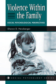 Violence Within The Family: Social Psychological Perspectives book cover
