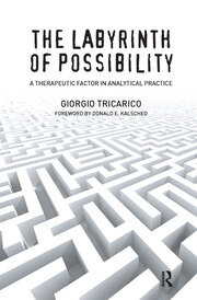 The Labyrinth of Possibility: A Therapeutic Factor in Analytical Practice book cover