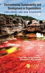 Environmental Sustainability and Development in Organizations: Challenges and New Strategies book cover