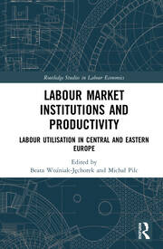 Labour Market Institutions and Productivity: Labour Utilisation in Central and Eastern Europe book cover