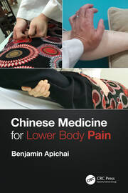 Chinese Medicine for Lower Body Pain book cover