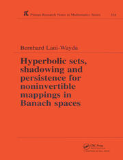 Hyperbolic Sets, Shadowing and Persistence for Noninvertible Mappings in Banach Spaces book cover