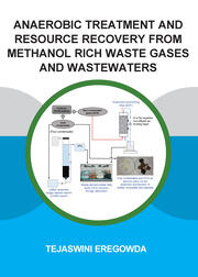Anaerobic Treatment and Resource Recovery from Methanol Rich Waste Gases and Wastewaters book cover