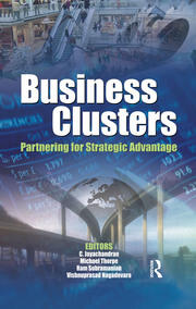 Business Clusters: Partnering for Strategic Advantage book cover