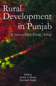 Rural Development in Punjab: A Success Story Going Astray book cover