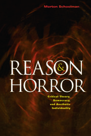 Reason and Horror: Critical Theory, Democracy and Aesthetic Individuality book cover