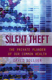 Silent Theft: The Private Plunder of Our Common Wealth book cover