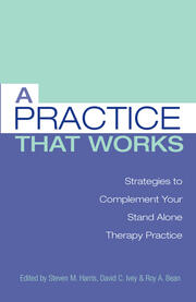 A Practice that Works: Strategies to Complement Your Stand Alone Therapy Practice book cover