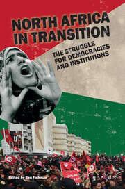 North Africa in Transition: The Struggle for Democracy and Institutions book cover