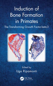 Induction of Bone Formation in Primates: The Transforming Growth Factor-beta 3 book cover