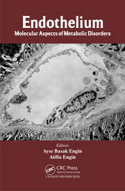 Endothelium: Molecular Aspects of Metabolic Disorders book cover