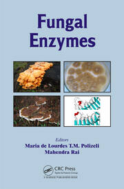 Fungal Enzymes book cover