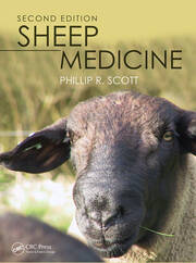 Sheep Medicine book cover