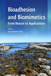 Bioadhesion and Biomimetics: From Nature to Applications book cover