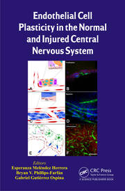 Endothelial Cell Plasticity in the Normal and Injured Central Nervous System book cover