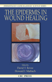 The Epidermis in Wound Healing book cover