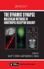 The Dynamic Synapse: Molecular Methods in Ionotropic Receptor Biology book cover
