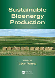 Sustainable Bioenergy Production book cover