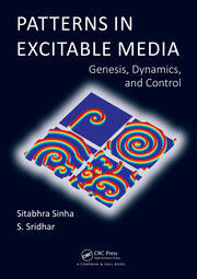 Patterns in Excitable Media: Genesis, Dynamics, and Control book cover