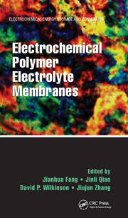 Electrochemical Polymer Electrolyte Membranes book cover
