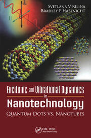 Excitonic and Vibrational Dynamics in Nanotechnology book cover