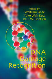 DNA Damage Recognition book cover